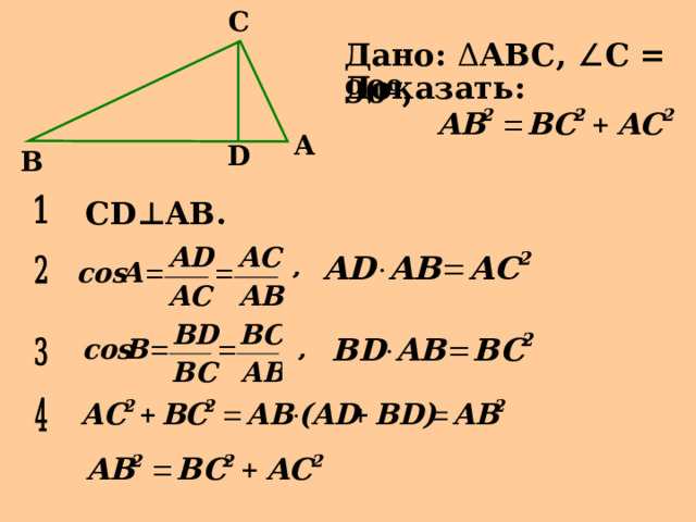 C Дано: Δ АВС, ∠ С = 90 º , Доказать: A D B  С D ⊥ AB . 
