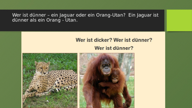 Wer ist dünner – ein Jaguar oder ein Orang-Utan? Ein Jaguar ist dünner als ein Orang - Utan.   