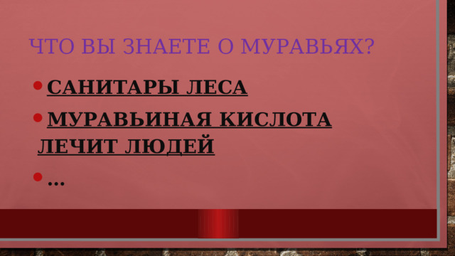 Что вы знаете о муравьях? Санитары леса Муравьиная кислота лечит людей … 