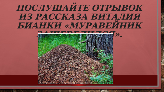 Послушайте отрывок из рассказа Виталия Бианки «Муравейник зашевелился». 