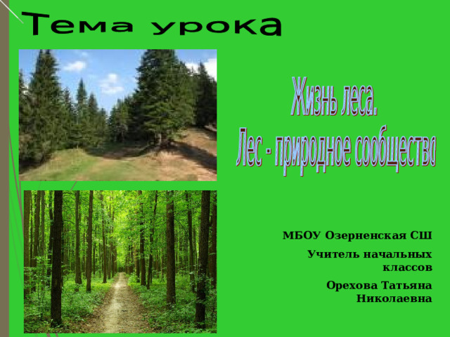 Жизнь леса в школу. Тверская гбластьпредставиьели лесного сообщества.