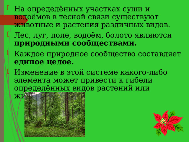 Какие сообщества составляют леса