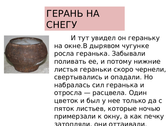 ГЕРАНЬ НА СНЕГУ  И тут увидел он гераньку на окне.В дырявом чугунке росла геранька. Забывали поливать ее, и потому нижние листья гераньки скоро чернели, свертывались и опадали. Но набралась сил геранька и отросла — расцвела. Один цветок и был у нее только да с пяток листьев, которые ночью примерзали к окну, а как печку затопляли, они оттаивали. 