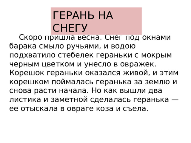 ГЕРАНЬ НА СНЕГУ  Скоро пришла весна. Снег под окнами барака смыло ручьями, и водою подхватило стебелек гераньки с мокрым черным цветком и унесло в овражек. Корешок гераньки оказался живой, и этим корешком поймалась геранька за землю и снова расти начала. Но как вышли два листика и заметной сделалась геранька — ее отыскала в овраге коза и съела. 