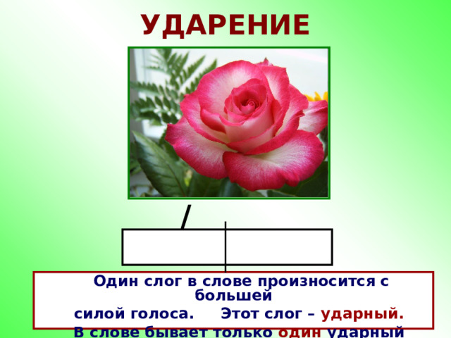 УДАРЕНИЕ /  Один слог в слове произносится с большей  силой голоса. Этот слог – ударный.  В слове бывает только один ударный слог . 