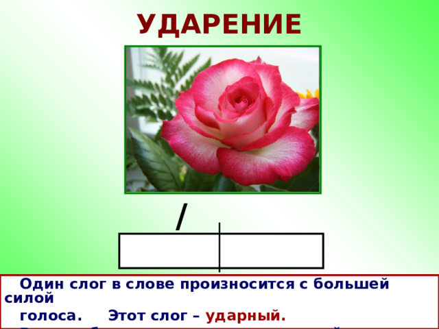 УДАРЕНИЕ /  Один слог в слове произносится с большей силой  голоса. Этот слог – ударный.  В слове бывает только один ударный слог. 