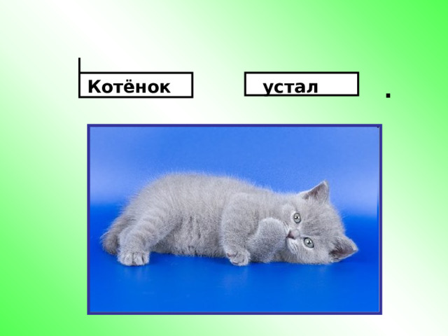 .   Котёнок  устал 