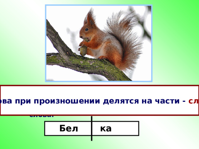 п Слова при произношении делятся на части - слоги  Произнесите слово «белка».  Сколько частей в слове?  Назовите первую и вторую часть слова. Бел ка 