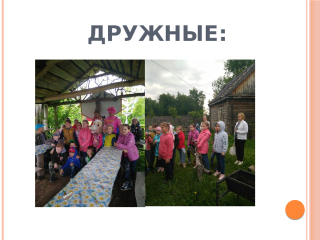 ДРУЖНЫЕ: 