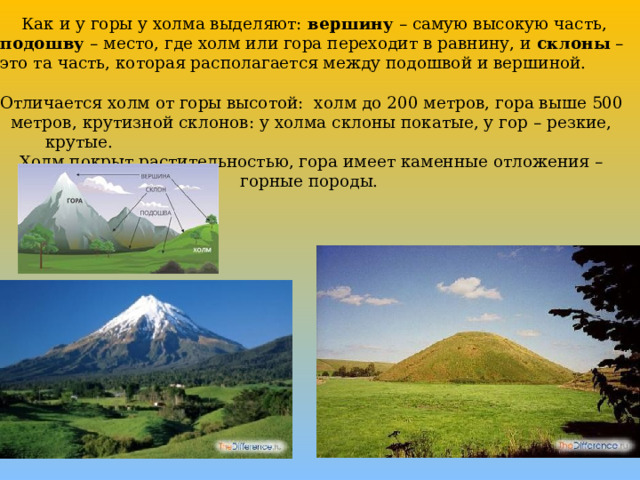  Как и у горы у холма выделяют: вершину – самую высокую часть, подошву – место, где холм или гора переходит в равнину, и склоны – это та часть, которая располагается между подошвой и вершиной. Отличается холм от горы высотой: холм до 200 метров, гора выше 500 метров, крутизной склонов: у холма склоны покатые, у гор – резкие, крутые.  Холм покрыт растительностью, гора имеет каменные отложения – горные породы. 