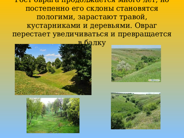 Рост оврага продолжается много лет, но постепенно его склоны становятся пологими, зарастают травой, кустарниками и деревьями. Овраг перестает увеличиваться и превращается в балку 