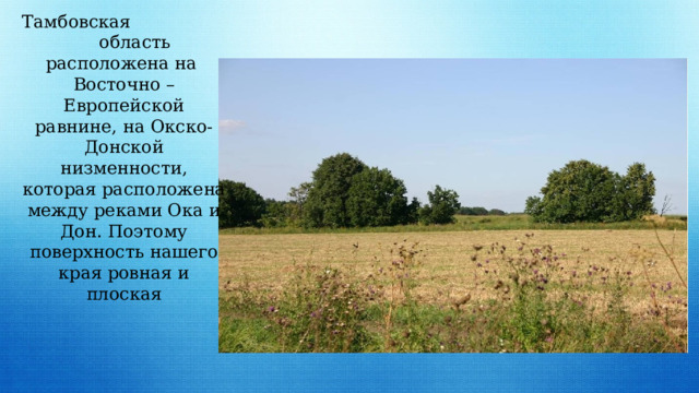 Тамбовская область расположена на Восточно –Европейской равнине, на Окско-Донской низменности, которая расположена между реками Ока и Дон. Поэтому поверхность нашего края ровная и плоская 