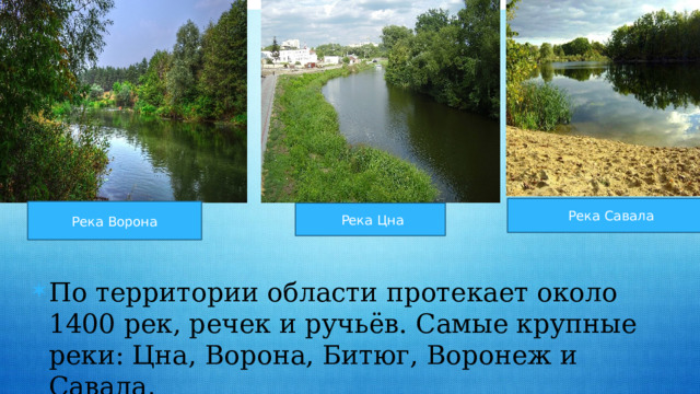  Река Савала  Река Ворона  Река Цна По территории области протекает около 1400 рек, речек и ручьёв. Самые крупные реки: Цна, Ворона, Битюг, Воронеж и Савала . 