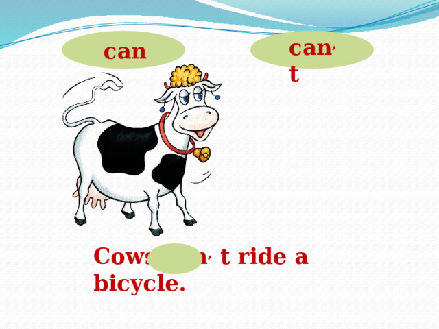 can , t can Cows can , t ride a bicycle.  