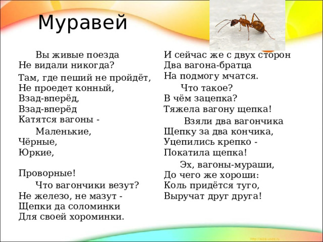 Муравей  Вы живые поезда  Не видали никогда? Там, где пеший не пройдёт,  Не проедет конный,  Взад-вперёд,  Взад-вперёд  Катятся вагоны - И сейчас же с двух сторон  Два вагона-братца  На подмогу мчатся.  Маленькие,  Чёрные,  Юркие,  Проворные!  Что такое?  В чём зацепка?  Тяжела вагону щепка!  Что вагончики везут?  Не железо, не мазут -  Щепки да соломинки  Для своей хороминки.  Взяли два вагончика  Щепку за два кончика,  Уцепились крепко -  Покатила щепка!  Эх, вагоны-мураши,  До чего же хороши:  Коль придётся туго,  Выручат друг друга!  Вот отстал один вагон, 