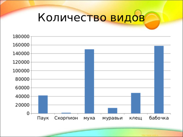 Количество видов 