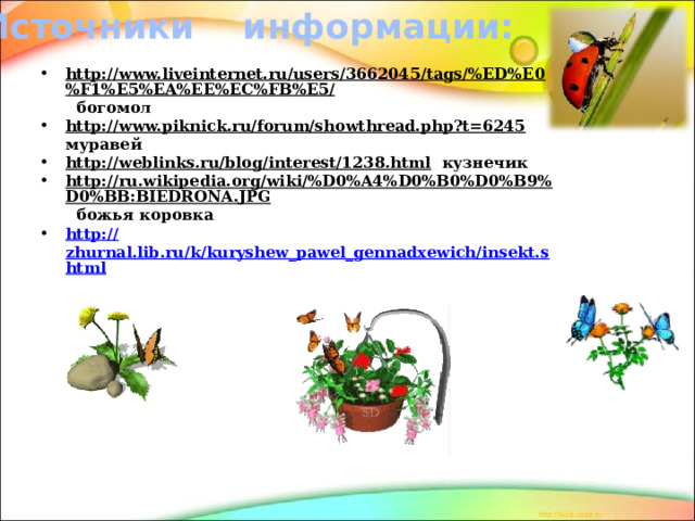 Источники информации: http://www.liveinternet.ru/users/3662045/tags/%ED%E0%F1%E5%EA%EE%EC%FB%E5/ богомол http://www.piknick.ru/forum/showthread.php?t=6245 муравей http://weblinks.ru/blog/interest/1238.html кузнечик http://ru.wikipedia.org/wiki/%D0%A4%D0%B0%D0%B9%D0%BB:BIEDRONA.JPG божья коровка http:// zhurnal.lib.ru/k/kuryshew_pawel_gennadxewich/insekt.shtml 