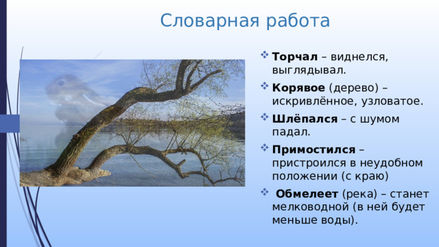 Словарная работа Торчал – виднелся, выглядывал. Корявое (дерево) – искривлённое, узловатое. Шлёпался – с шумом падал. Примостился – пристроился в неудобном положении (с краю)  Обмелеет (река) – станет мелководной (в ней будет меньше воды). 