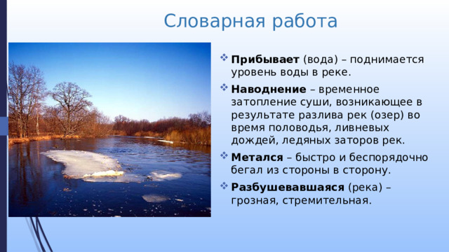 Словарная работа Прибывает (вода) – поднимается уровень воды в реке. Наводнение – временное затопление суши, возникающее в результате разлива рек (озер) во время половодья, ливневых дождей, ледяных заторов рек. Метался – быстро и беспорядочно бегал из стороны в сторону. Разбушевавшаяся (река) – грозная, стремительная. 