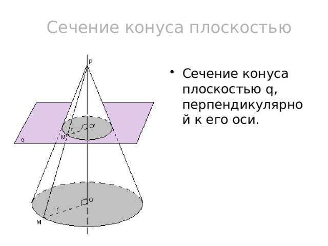 Сечение конуса плоскостью Сечение конуса плоскостью q, перпендикулярной к его оси. 9 