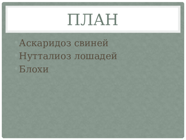 План Аскаридоз свиней Нутталиоз лошадей Блохи 