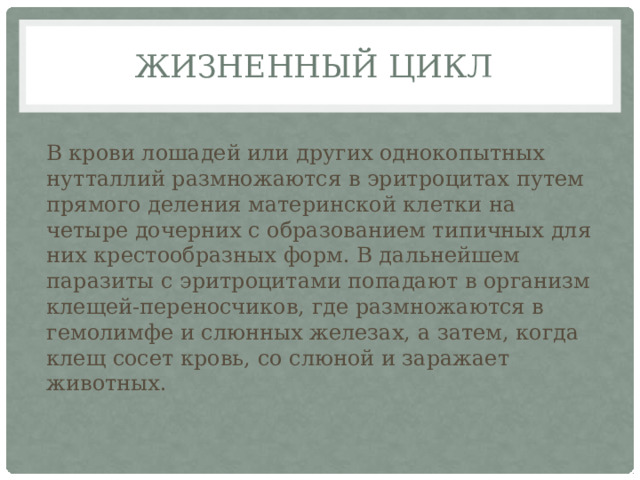 Жизненный цикл В крови лошадей или других однокопытных нутталлий размножаются в эритроцитах путем прямого деления материнской клетки на четыре дочерних с образованием типичных для них крестообразных форм. В дальнейшем паразиты с эритроцитами попадают в организм клещей-переносчиков, где размножаются в гемолимфе и слюнных железах, а затем, когда клещ сосет кровь, со слюной и заражает животных. 