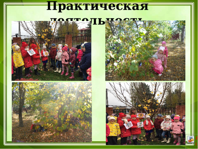 Практическая деятельность 
