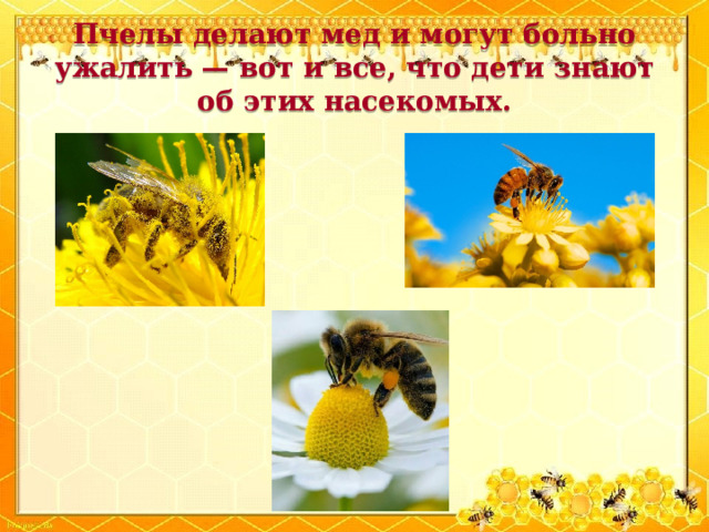 Пчелы делают мед и могут больно ужалить — вот и все, что дети знают об этих насекомых.  