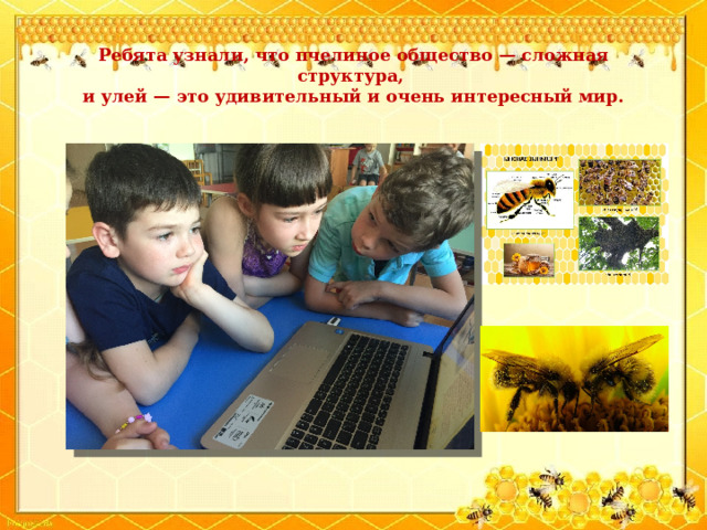  Ребята узнали, что пчелиное общество — сложная структура,  и улей — это удивительный и очень интересный мир. 