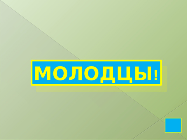МОЛОДЦЫ ! 