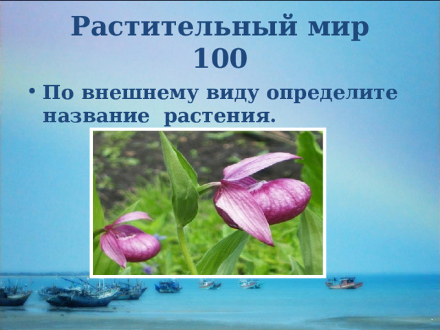 Растительный мир  100 По внешнему виду определите название растения.  