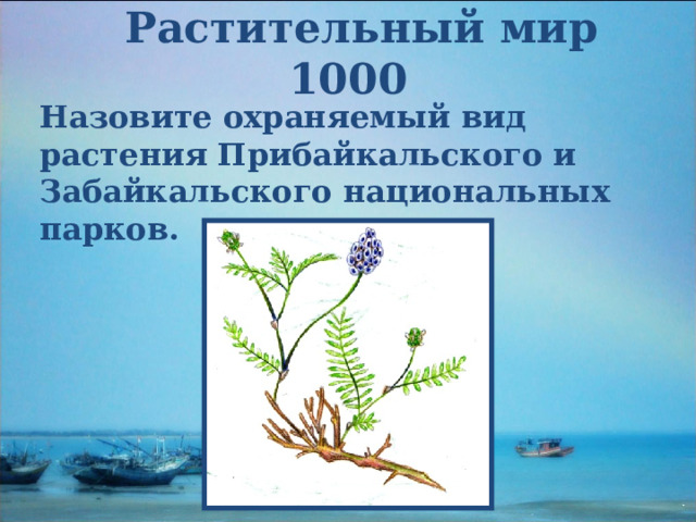  Растительный мир  1000 Назовите охраняемый вид растения Прибайкальского и Забайкальского национальных парков.  