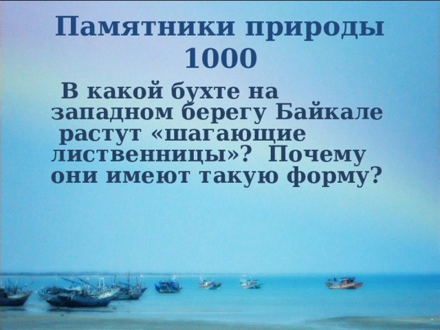 Памятники природы  1000   В какой бухте на западном берегу Байкале растут «шагающие лиственницы»? Почему они имеют такую форму?  