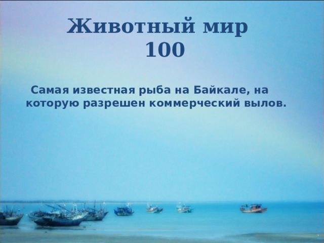 Животный мир  100  Самая известная рыба на Байкале, на которую разрешен коммерческий вылов.  