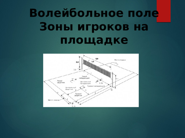 Волейбольное поле  Зоны игроков на площадке 