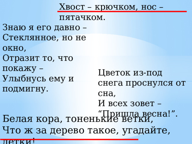 Хвост – крючком, нос – пятачком.   Знаю я его давно – Стеклянное, но не окно, Отразит то, что покажу – Улыбнусь ему и подмигну. Цветок из-под снега проснулся от сна, И всех зовет – “Пришла весна!”. Белая кора, тоненькие ветки, Что ж за дерево такое, угадайте, детки! 