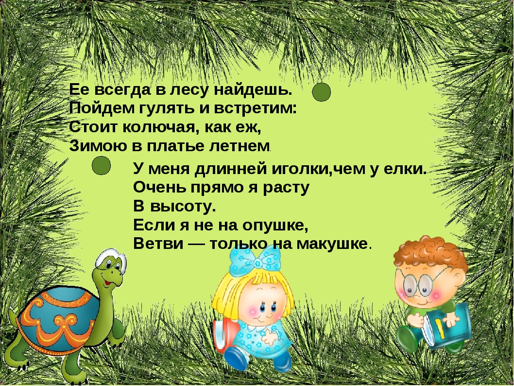 Что такое хвоинки 1 класс окружающий мир. Что такое хвоинки 1 класс. Что такое хвоинки презентация. Стихи про прогулки в лесу для детей.