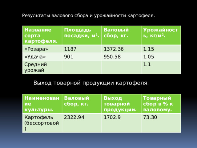 Схема посадки картофеля розара