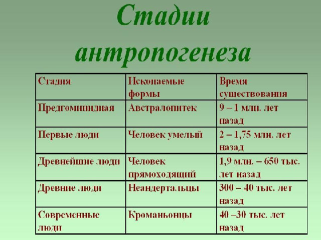 Презентация антропогенез 9 класс биология