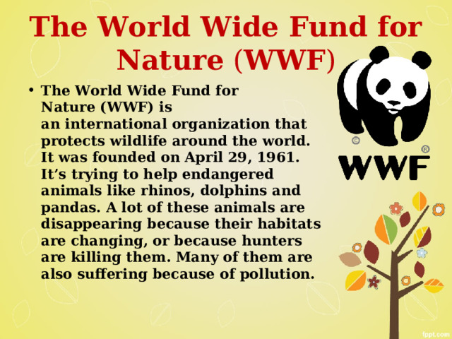 The world wildlife fund is