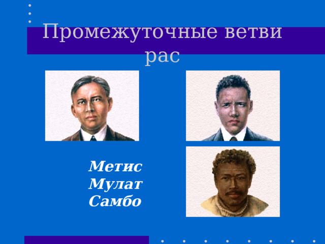 Метисы Мулаты самбо. Метисы Мулаты самбо схема. Сообщение о метисах мулатов. Самбо Мулаты и метисы это жители какого материка.