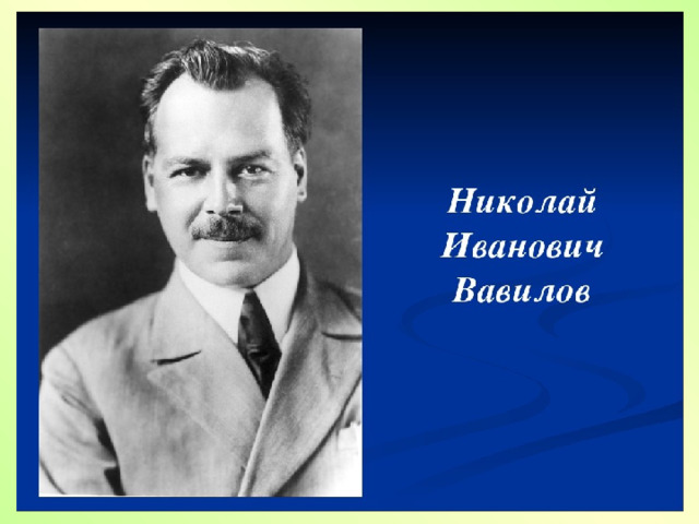 Презентация о вавилове николае ивановиче