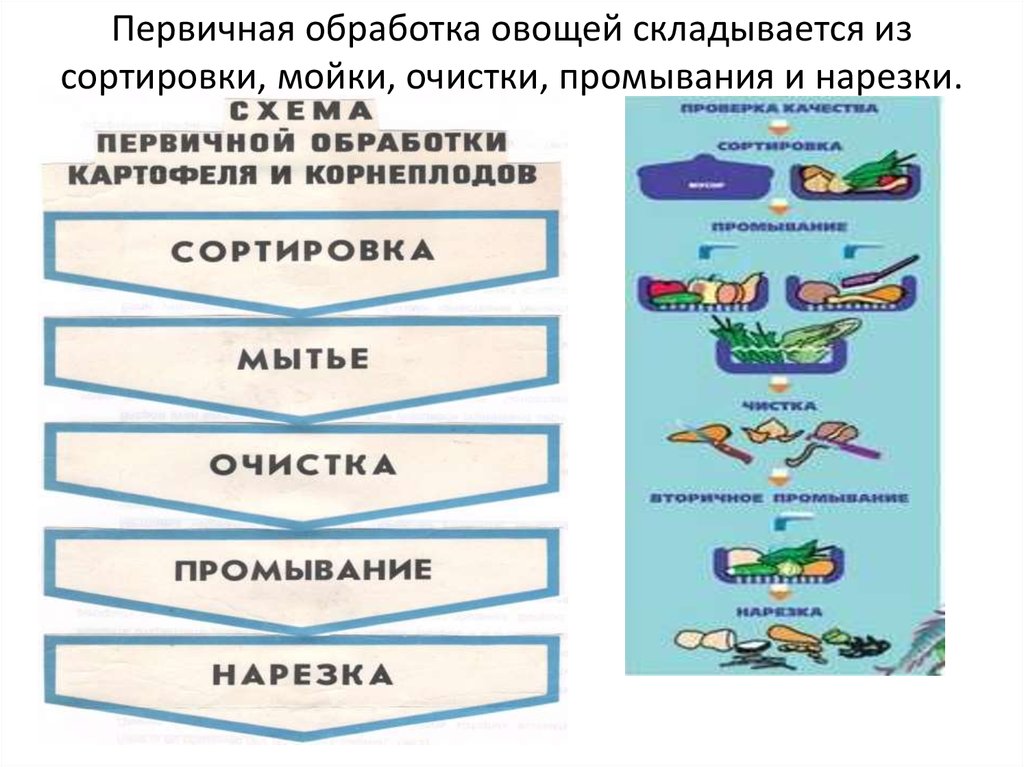 План конспект урока по технологии 5 класс