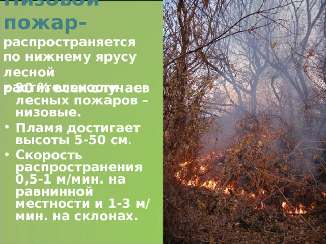 Низовой пожар-  распространяется по нижнему ярусу лесной растительности.   90 % всех случаев лесных пожаров – низовые. Пламя достигает высоты 5-50 см . Скорость распространения 0,5-1 м/мин. на равнинной местности и 1-3 м/мин. на склонах. 