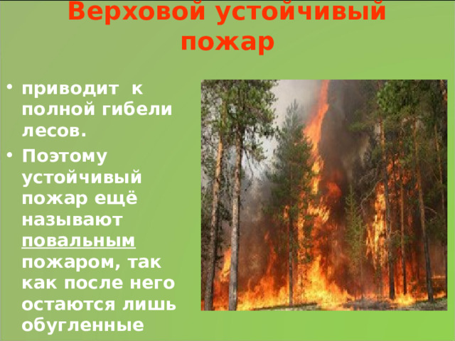 Верховой устойчивый пожар приводит к полной гибели лесов. Поэтому устойчивый пожар ещё называют повальным пожаром, так как после него остаются лишь обугленные остатки стволов.  