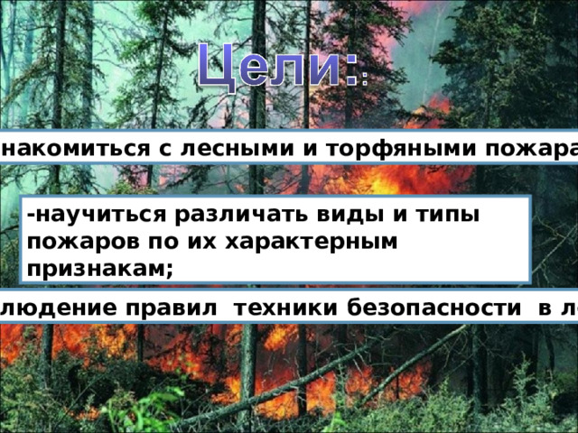 -познакомиться с лесными и торфяными пожарами; -научиться различать виды и типы пожаров по их характерным признакам; -соблюдение правил техники безопасности в лесу . 