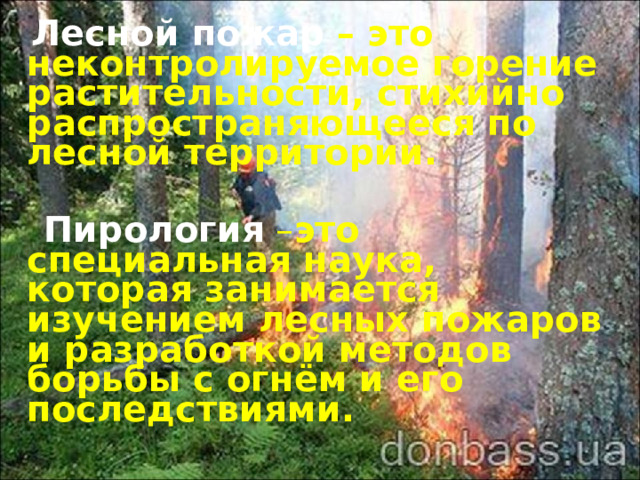  Лесной пожар  – это неконтролируемое горение растительности, стихийно распространяющееся по лесной территории.   Пирология – это специальная наука, которая занимается изучением лесных пожаров и разработкой методов борьбы с огнём и его последствиями. 