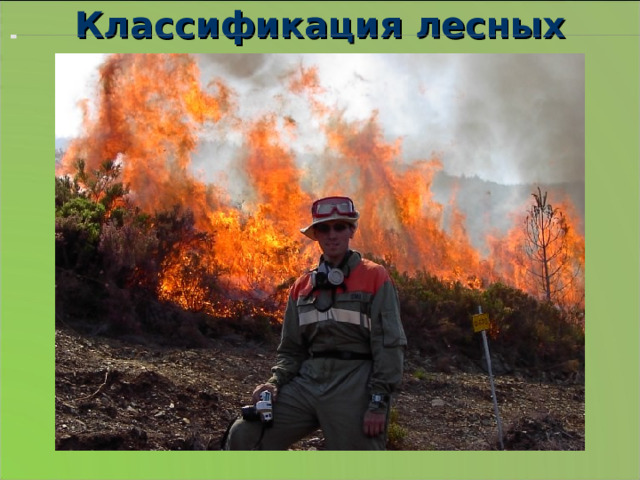 Классификация лесных пожаров 