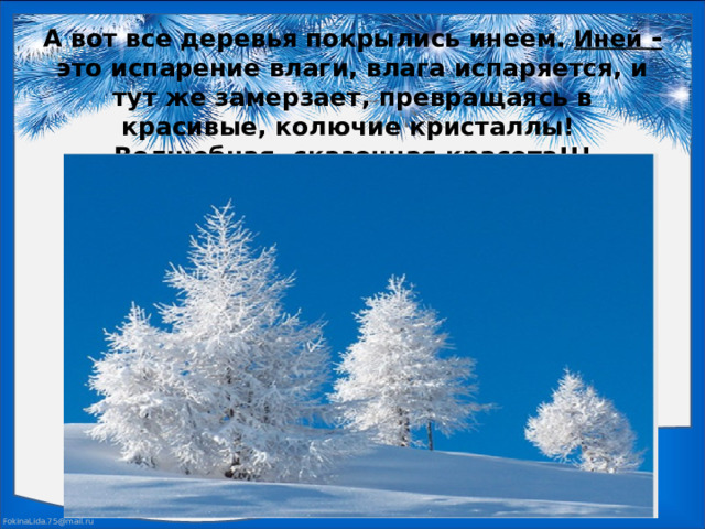 А вот все деревья покрылись инеем. Иней - это испарение влаги, влага испаряется, и тут же замерзает, превращаясь в красивые, колючие кристаллы!  Волшебная, сказочная красота!!!   