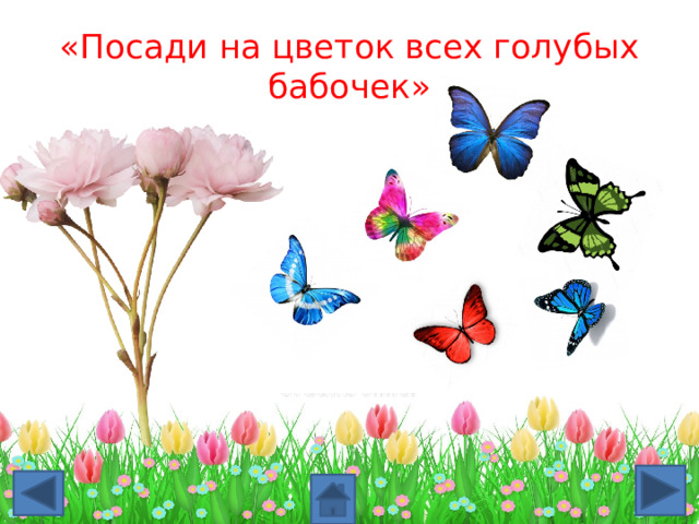 «Посади на цветок всех голубых бабочек» 
